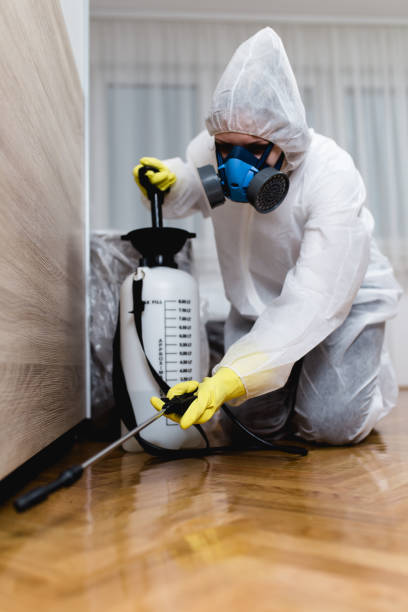 Best Bed Bug Extermination  in Brockport, NY